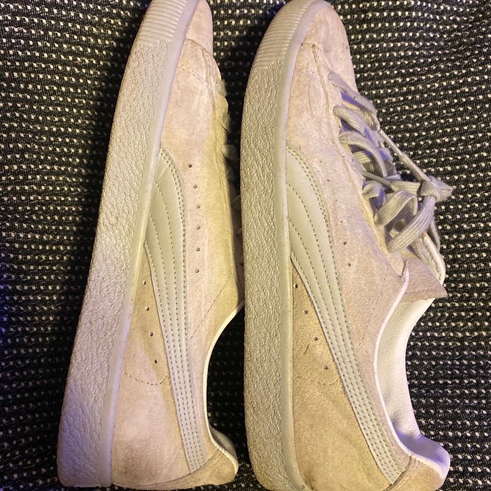 Puma